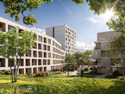 Mosaiq Beroun